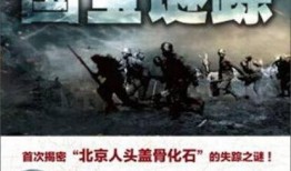 国宝迷踪在线观看,揭秘千年宝藏的神秘之旅